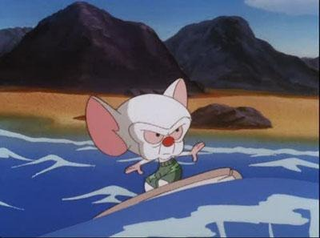 Illustration for article titled Every Single Pinky and the Brain Plan to Take Over the World, Ranked